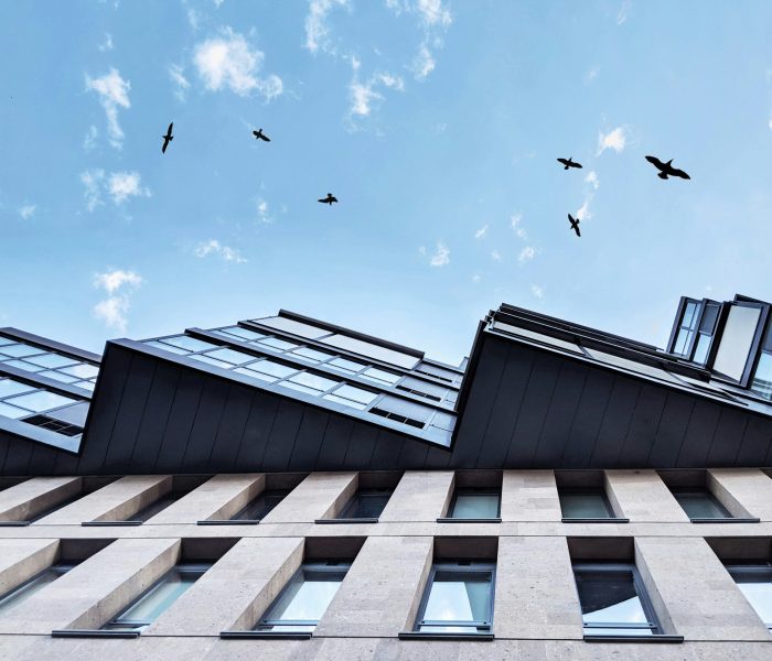 alexandr-hovhannisyan-OIVvwDIvmsk-unsplash